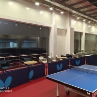 Центр настольного тенниса «Saryarka» настольный теннис