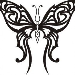 Бабочки векторные рисунки, рисунки в высоком разрешении, рисунки на стекле, рисунки бабочек, бабочки, изображения для дизайна