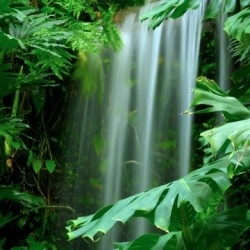 Водопады Водопады фото для скинали и душевых кабин