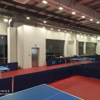 Центр настольного тенниса «Saryarka» настольный теннис
