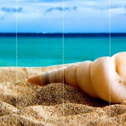Пляжи и ракушки пляжи, ракушки, ракушки и пляжи, ракушка на пляже, фото пляжей, фото пляжей в Сочи