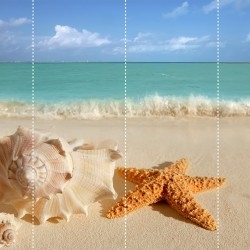 Пляжи и ракушки пляжи, ракушки, ракушки и пляжи, ракушка на пляже, фото пляжей, фото пляжей в Сочи